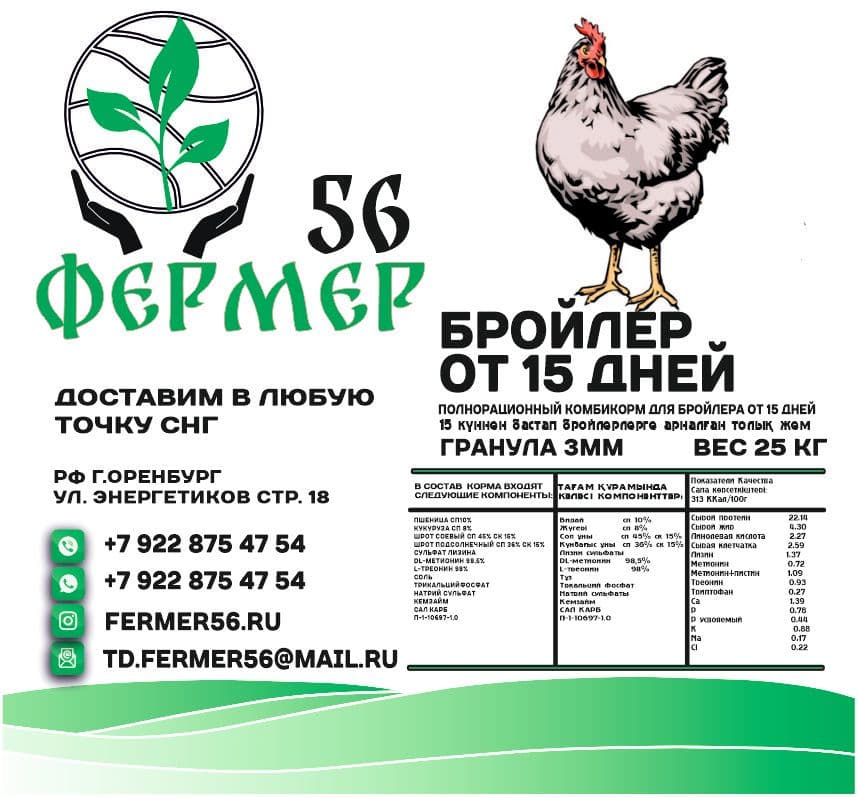 Купить Бройлера от 15 дней