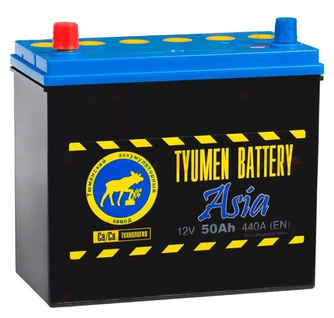 Купить Tyumen battery ASIA 50Ач 440А 12V R+ (Тюмень)