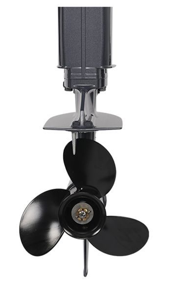 Купить Лодочный мотор ALLFA CG T9,9 BW S MAX