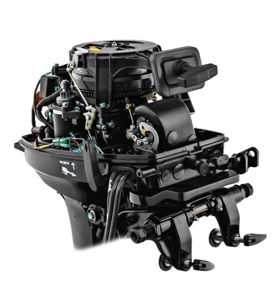 Купить Мотор Reef Rider RR9.9FES Pro