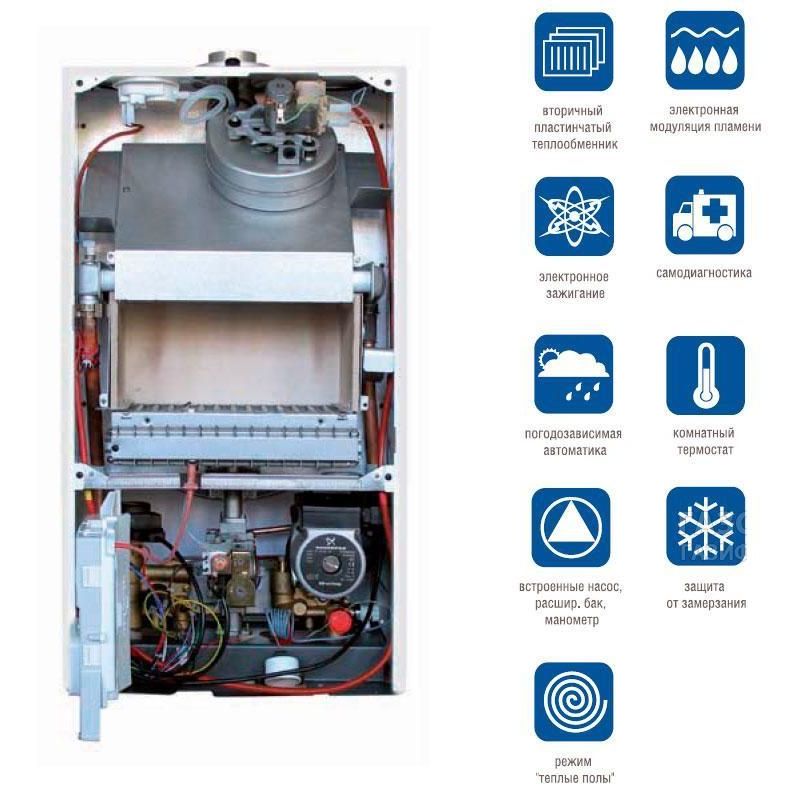 Купить Котел газовый BAXI  ECOFOUR 24 F