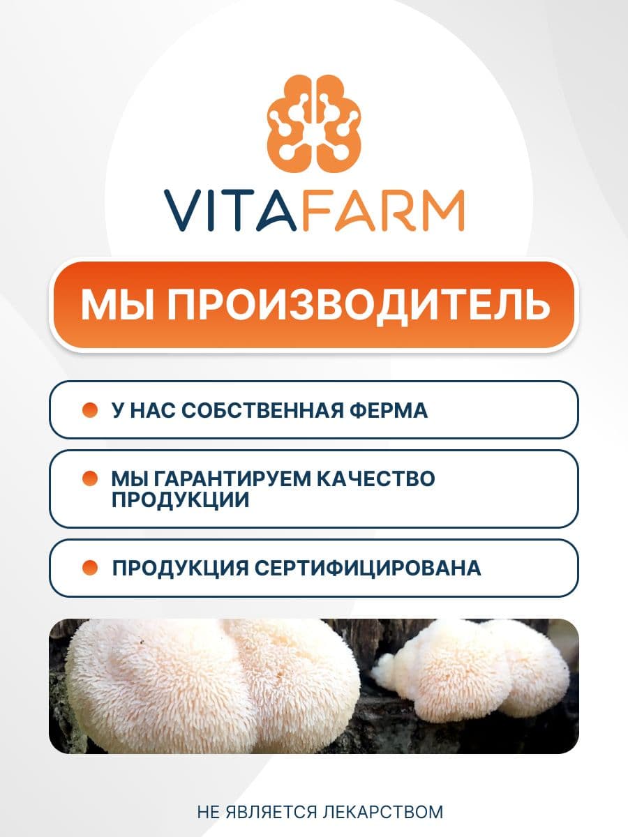 Купить Ежовик плодовое тело
