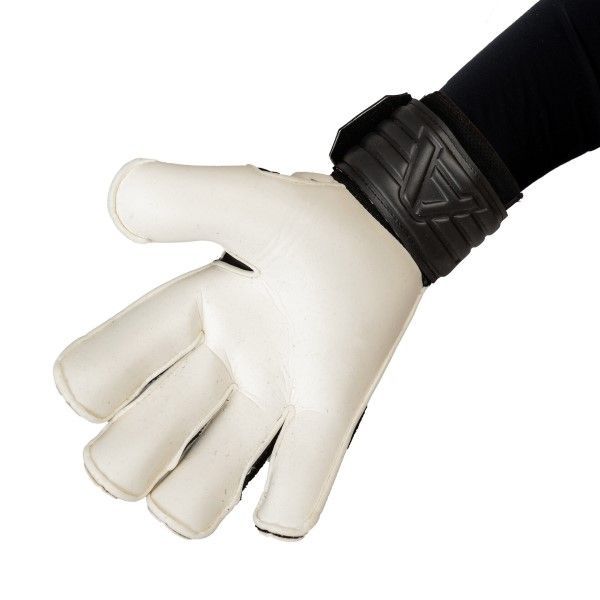 Купить Вратарские перчатки AlphaKeepers Expert RF Comfort 9 White/Black