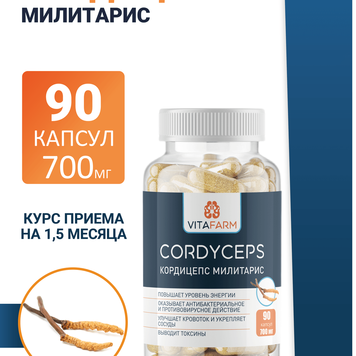 Купить Кордицепс милитарис капсулы