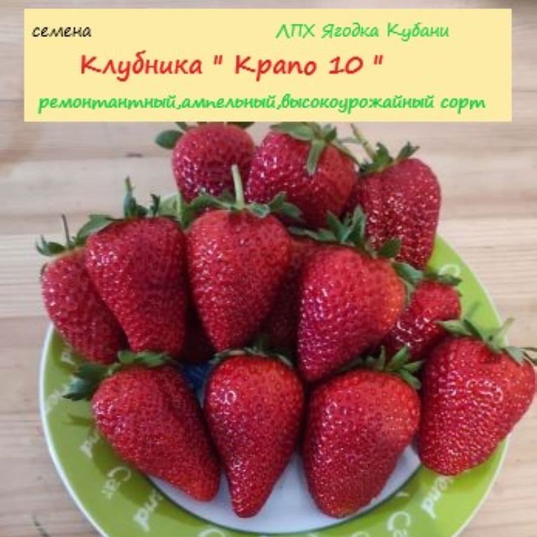 Купить Клубника " Крапо 10" семена 30 шт.