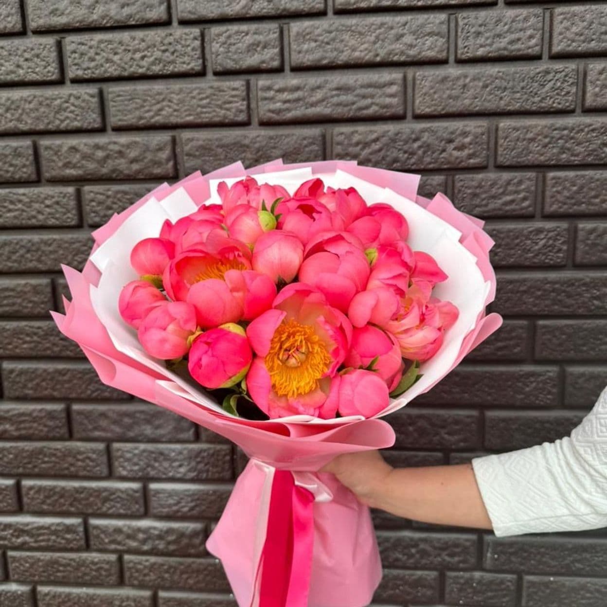 Купить 25 коралловых пионов