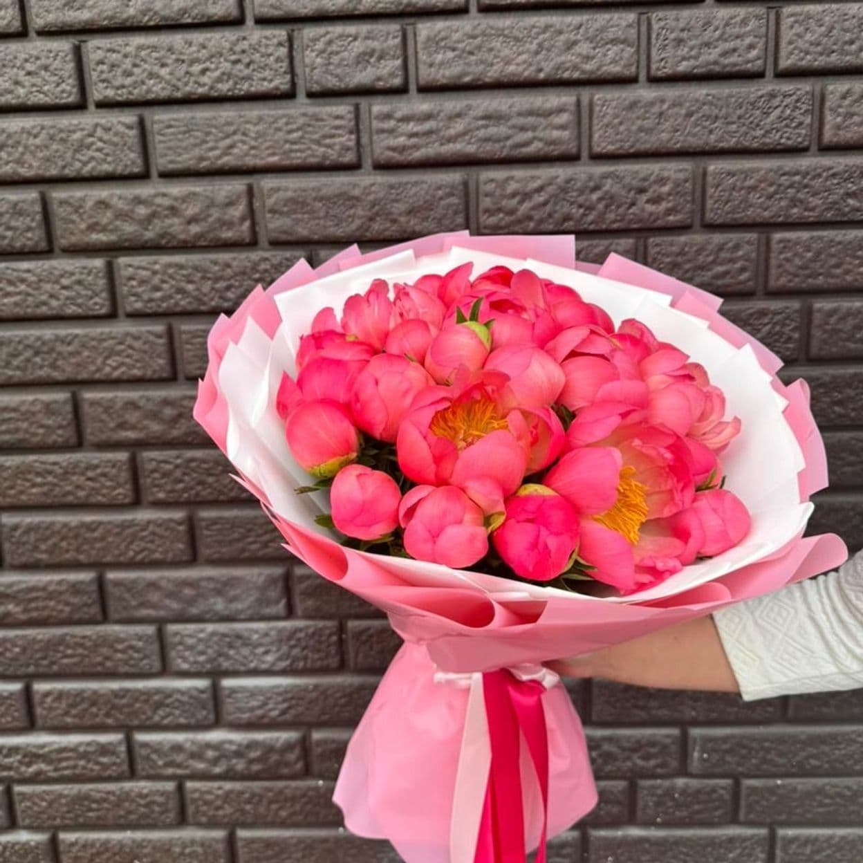 Купить 25 коралловых пионов
