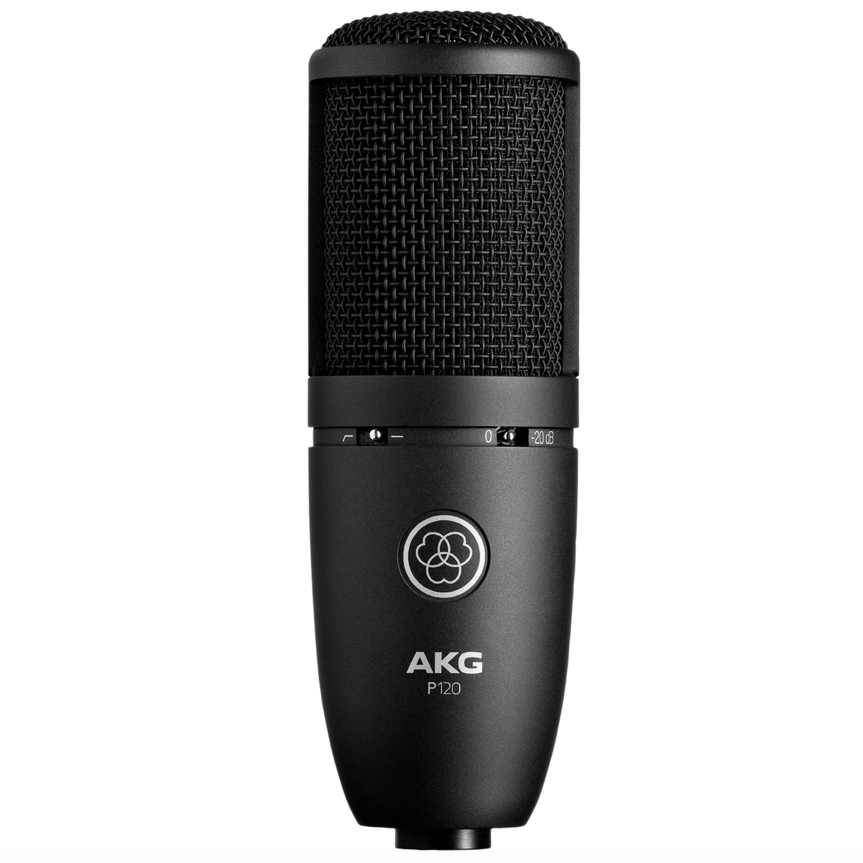 Купить AKG P120