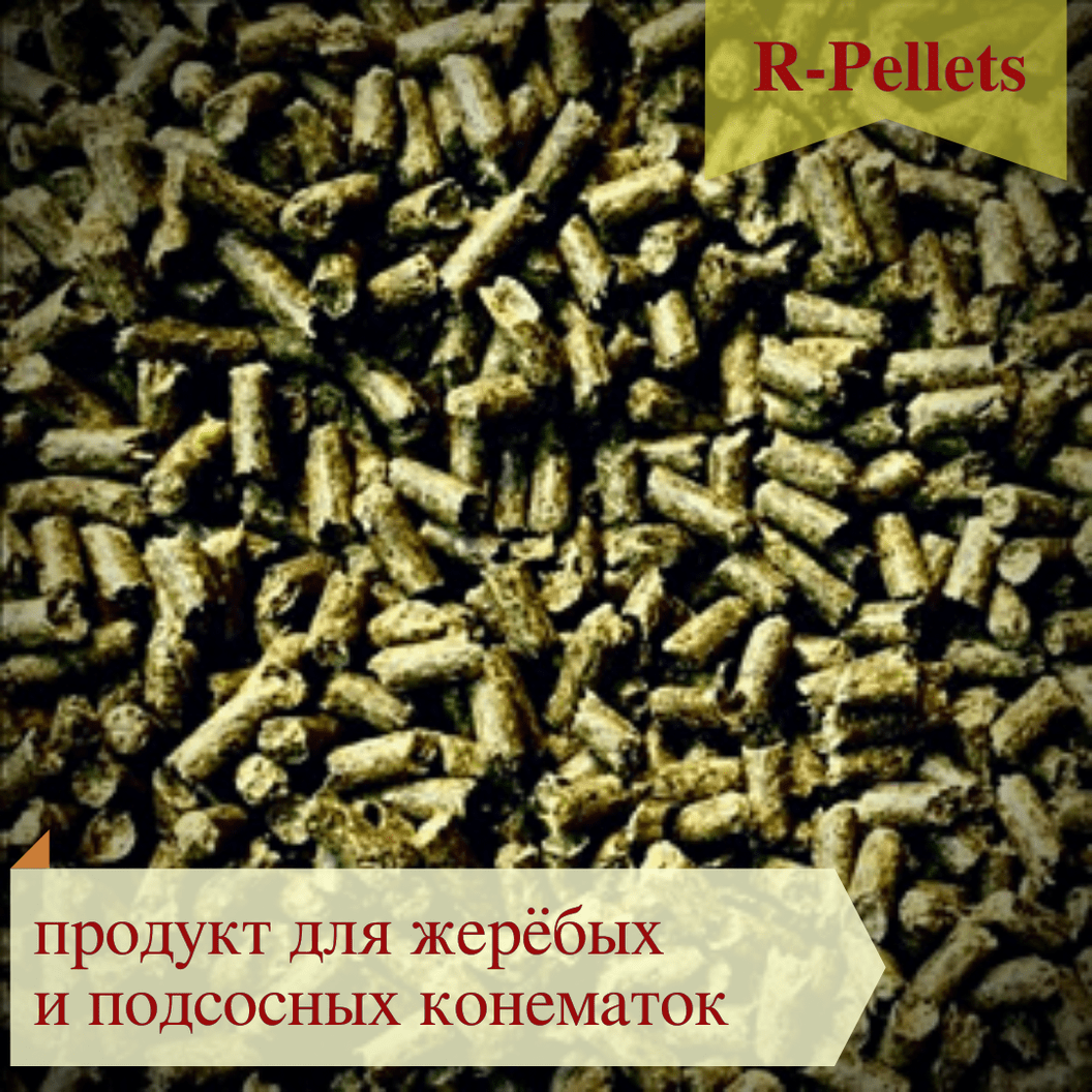 Купить Белково-витаминно-минеральный концентрат GOLD LINE "R-pellets" для кобыл в период жеребости и кормления жеребят, гранула