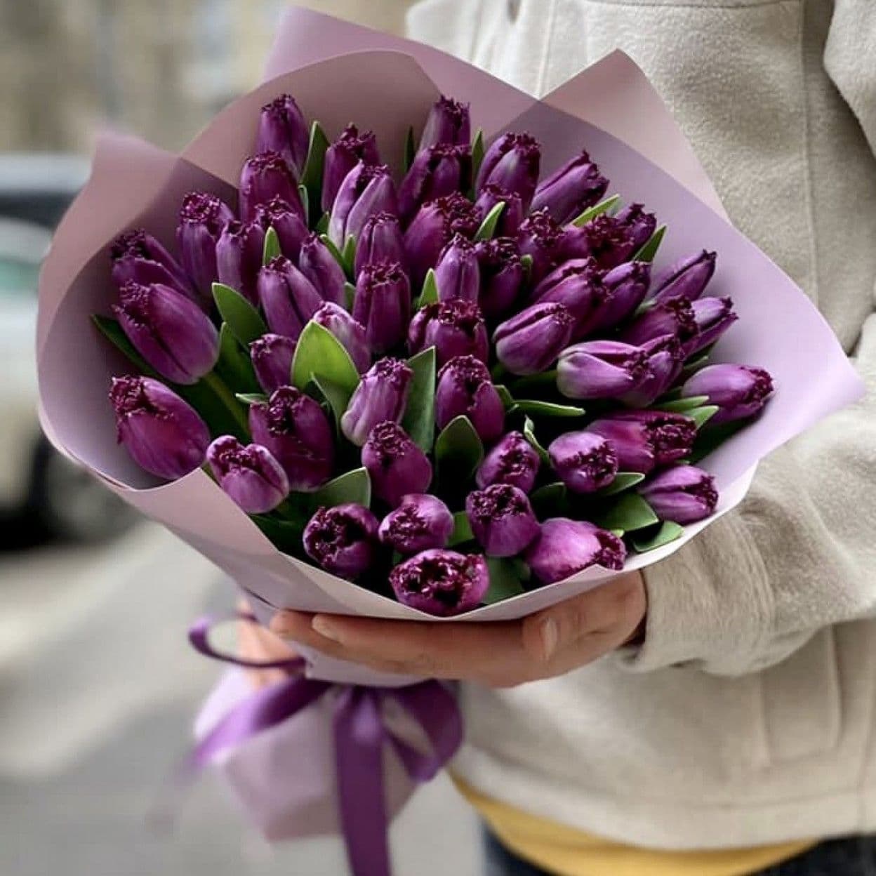 Купить Тюльпан фиолетовый