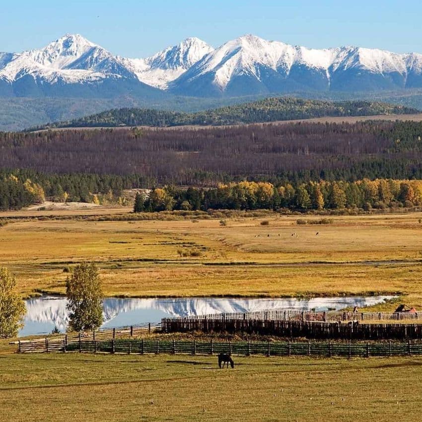 Купить Экскурсия Аршан