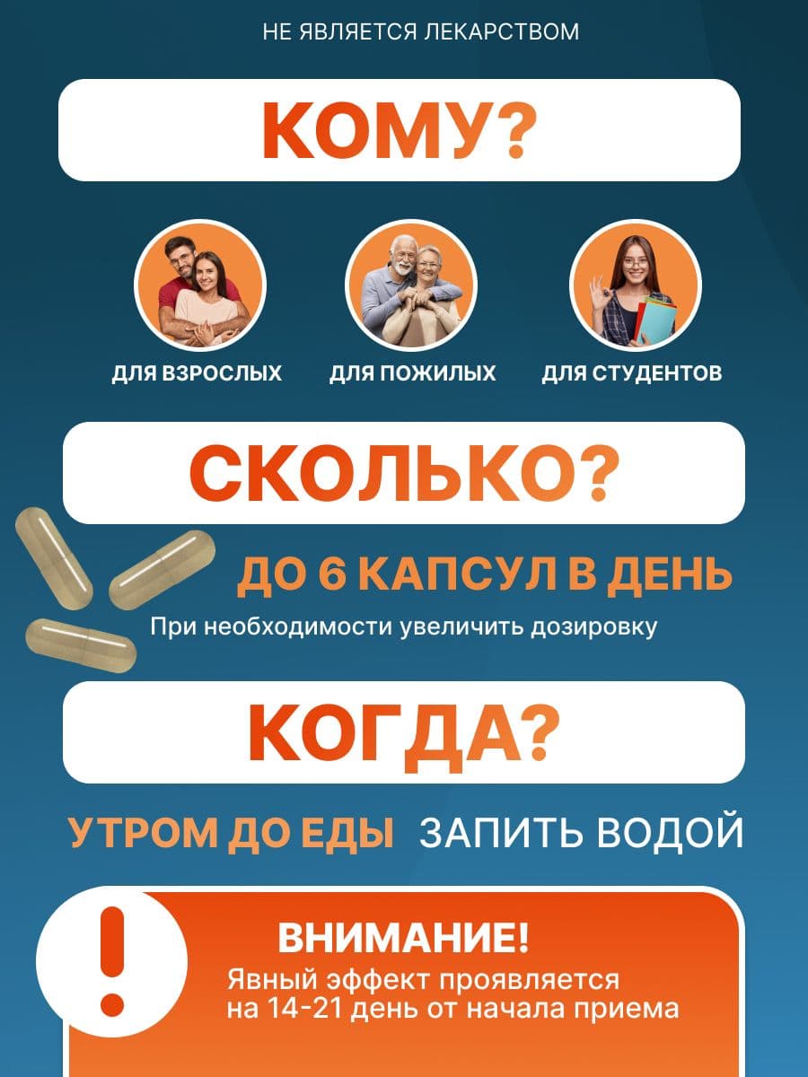 Купить Ежовик гребенчатый капсулы