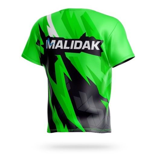 Купить Футболка "Malidak RAY" зелёная