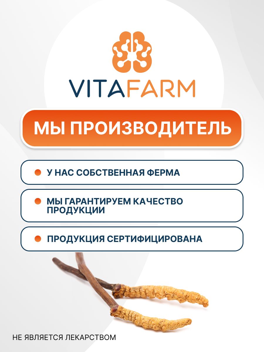 Купить Кордицепс милитарис порошок