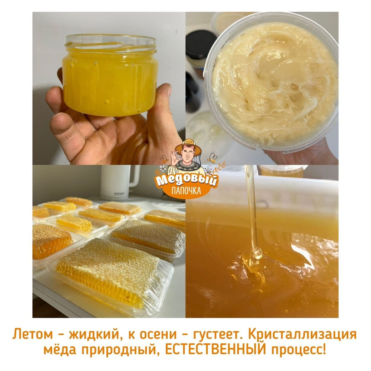 Купить Донниковый мёд