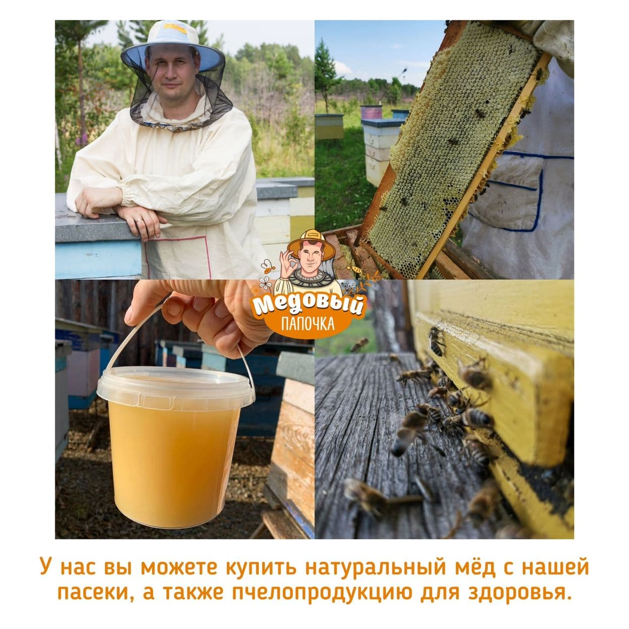 Купить Луговой мёд