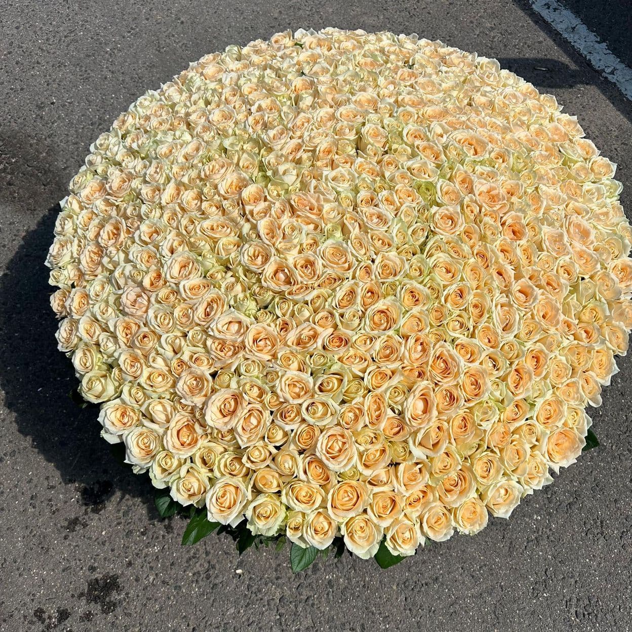 Купить Товар