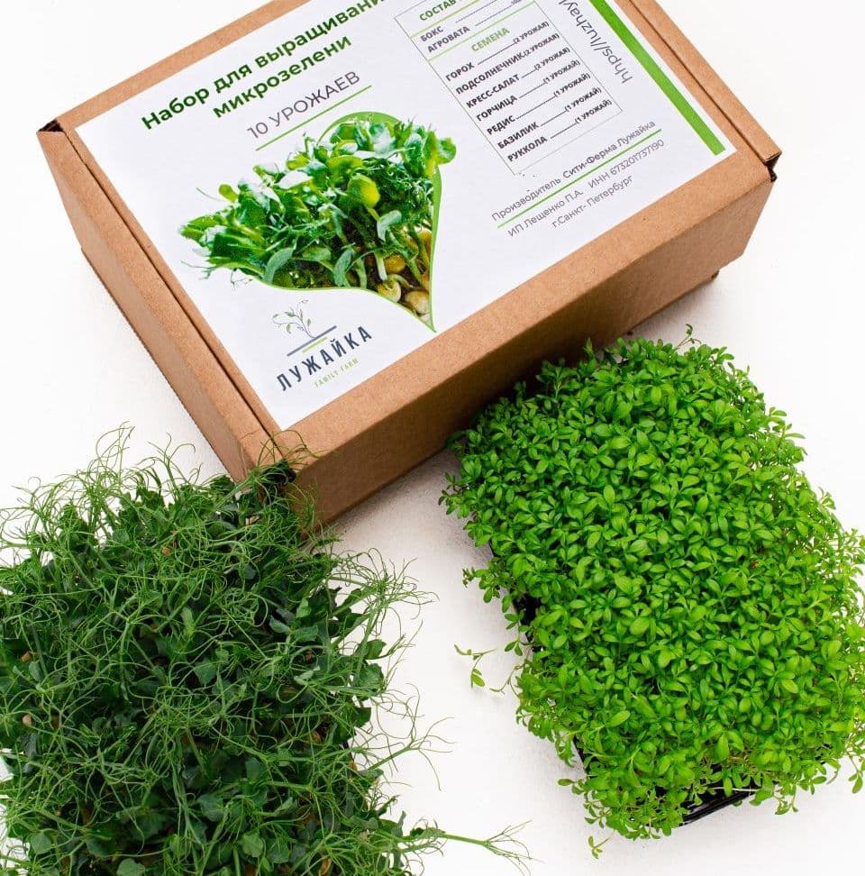 Купить Набор для выращивание микрозелени
