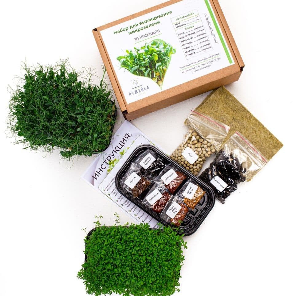 Купить Набор для выращивание микрозелени