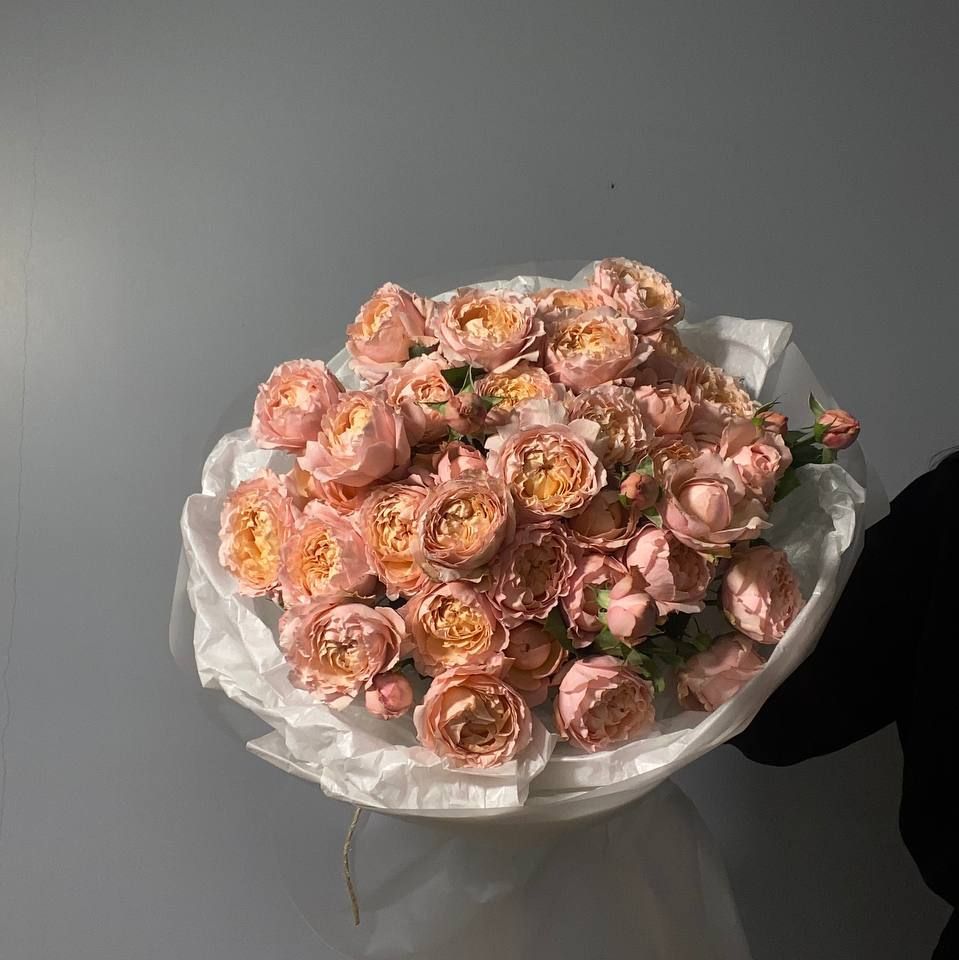 Купить Джульетта