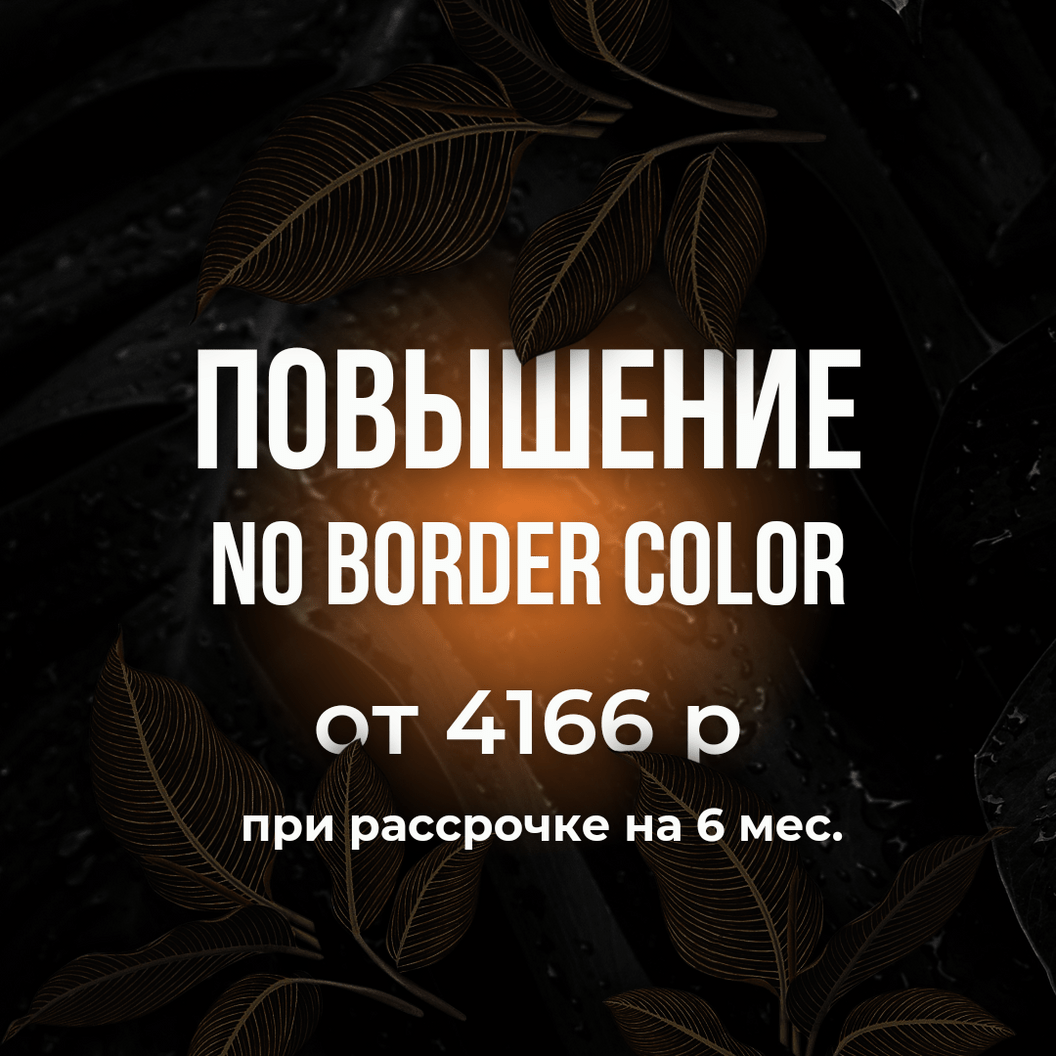 Купить NO BORDER COLOR