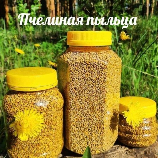 Купить 🐝🌼 Отборная пчелиная пыльца! 🌼🐝