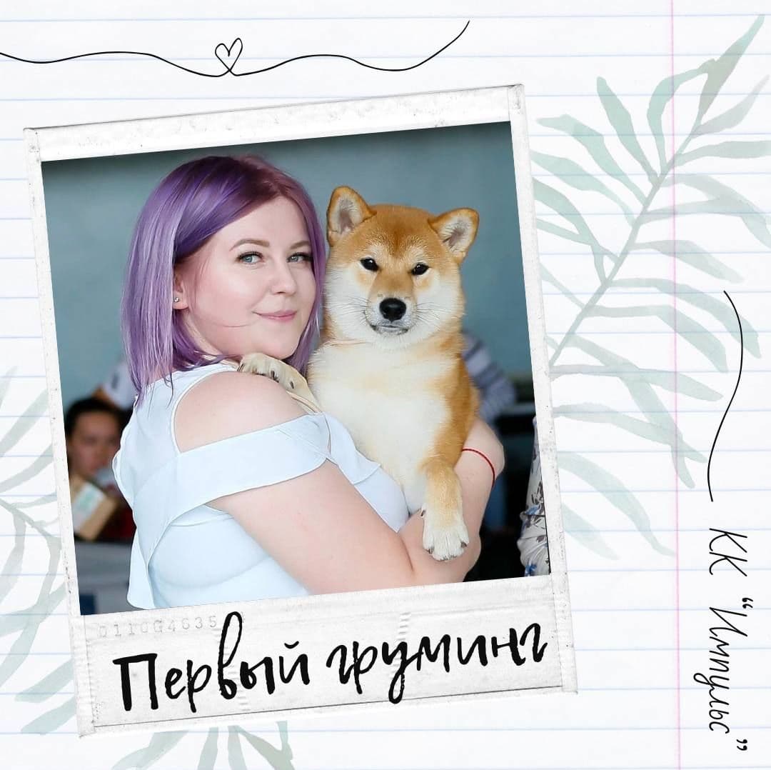 Подготовка Щенка к Грумингу 🐶