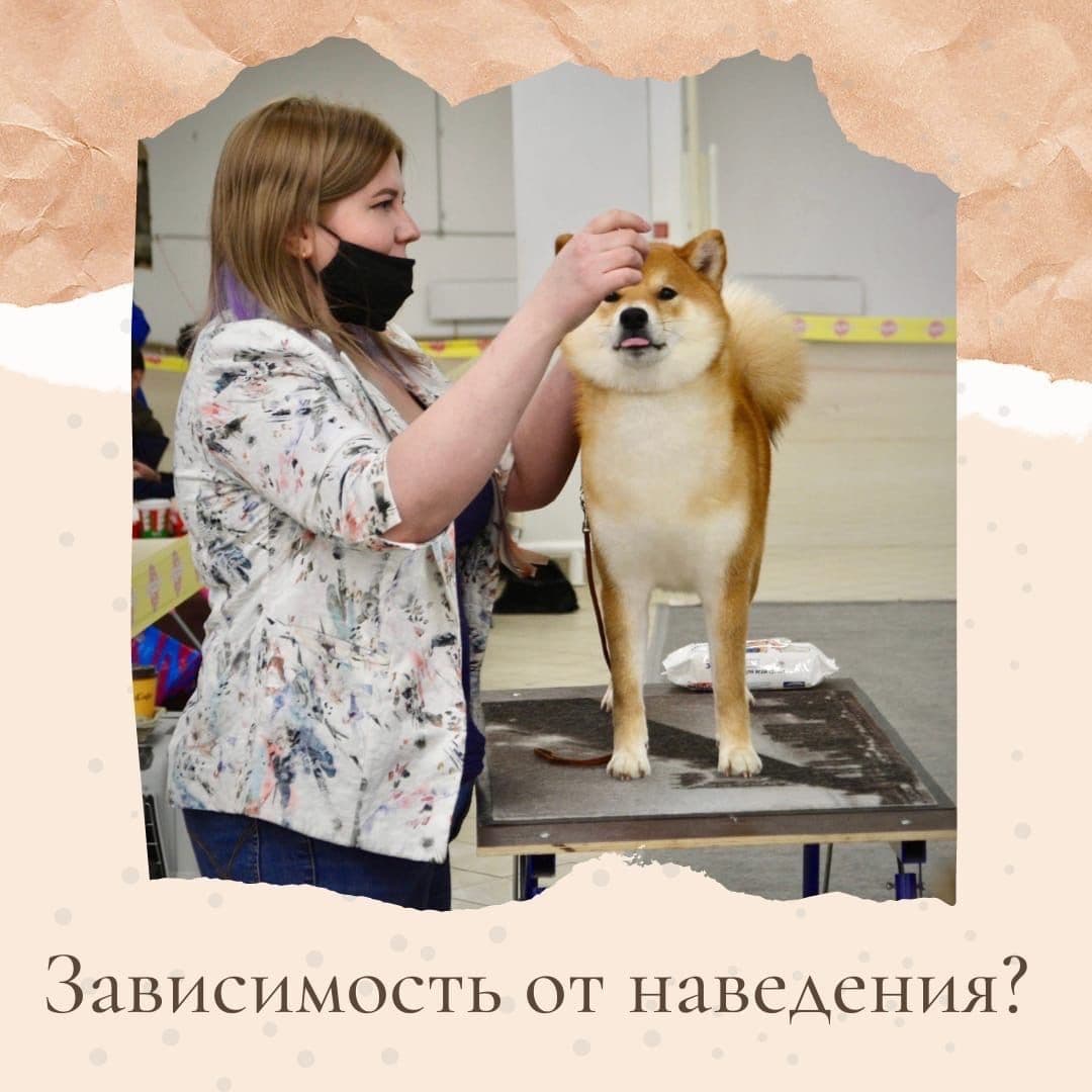 Зависимость от наведения 🤔