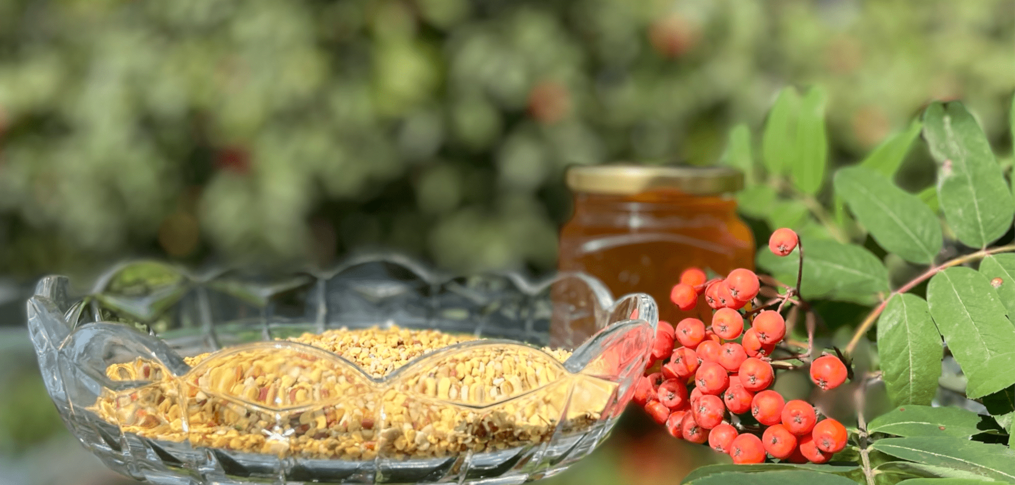 Пыльца, собранная пчелами