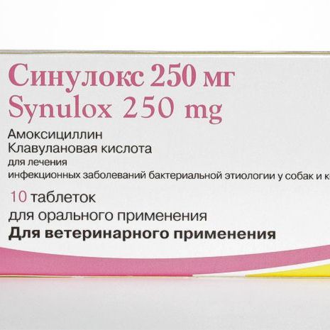 Синулокс 250 мг купить