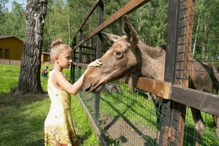 национальный парк Лосиный Остров в летнее время