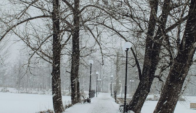 Парки в Подмосковье это всегда красочно