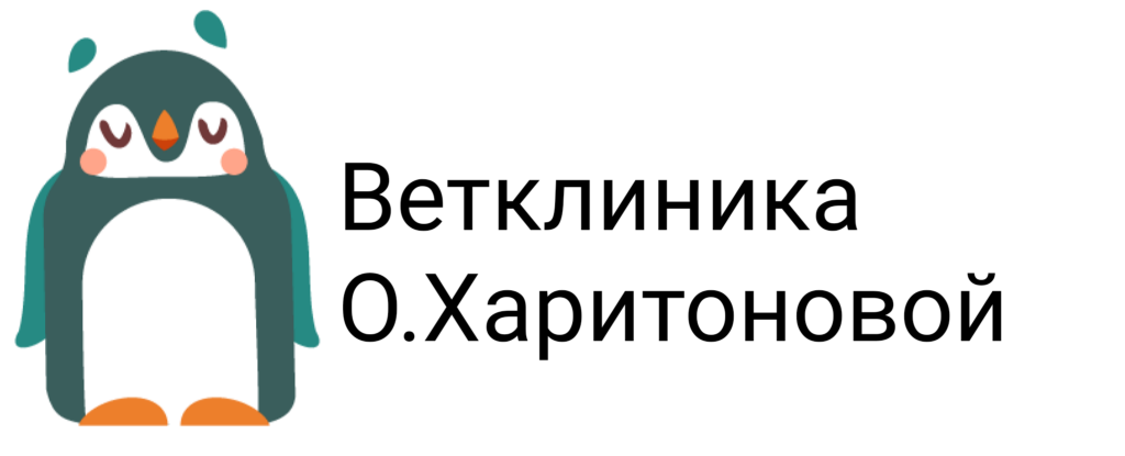 ветеринарный кабинет в Рузе Ольги Харитоновой