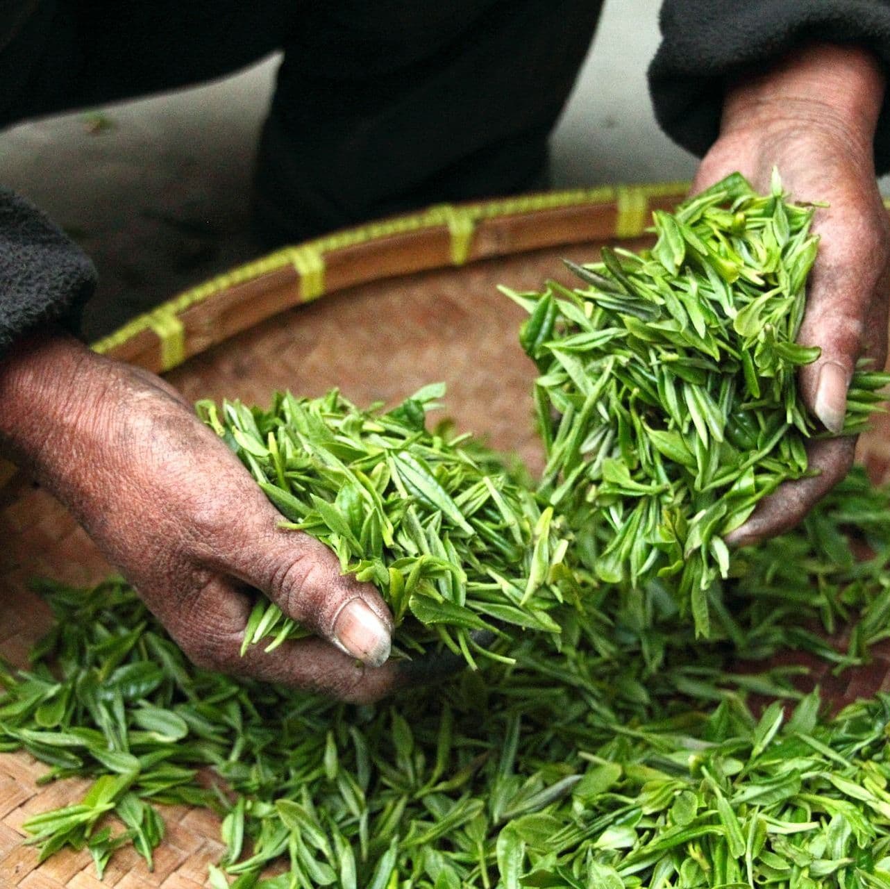 Чай зеленый оптом из Грузии