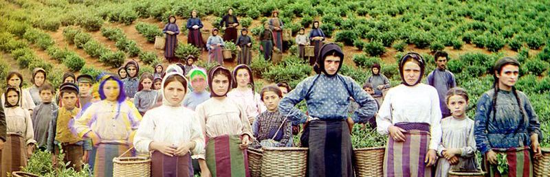 Работницы греческого происхождения на чайной плантации вблизи Батуми, ок. 1909—1915. Фото из архива Сергея Прокудина-Горского