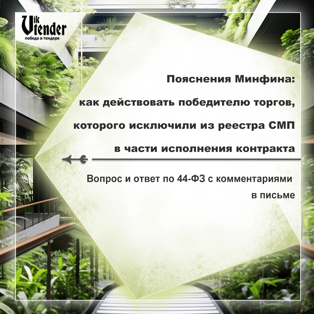 Пояснения Минфина: как действовать победителю торгов, которого исключили из реестра СМП в части исполнения контракта