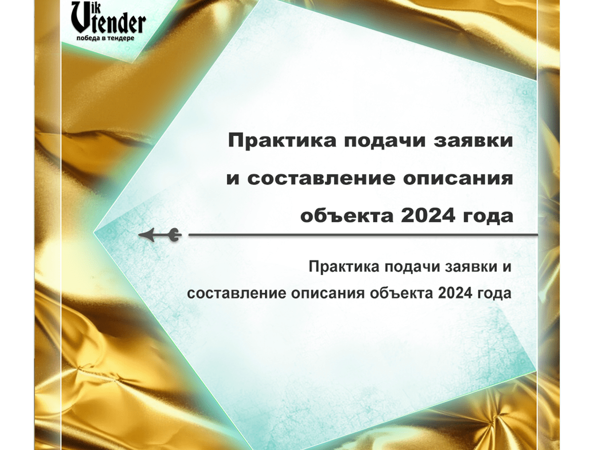 Практика подачи заявки и составление описания объекта 2024 года