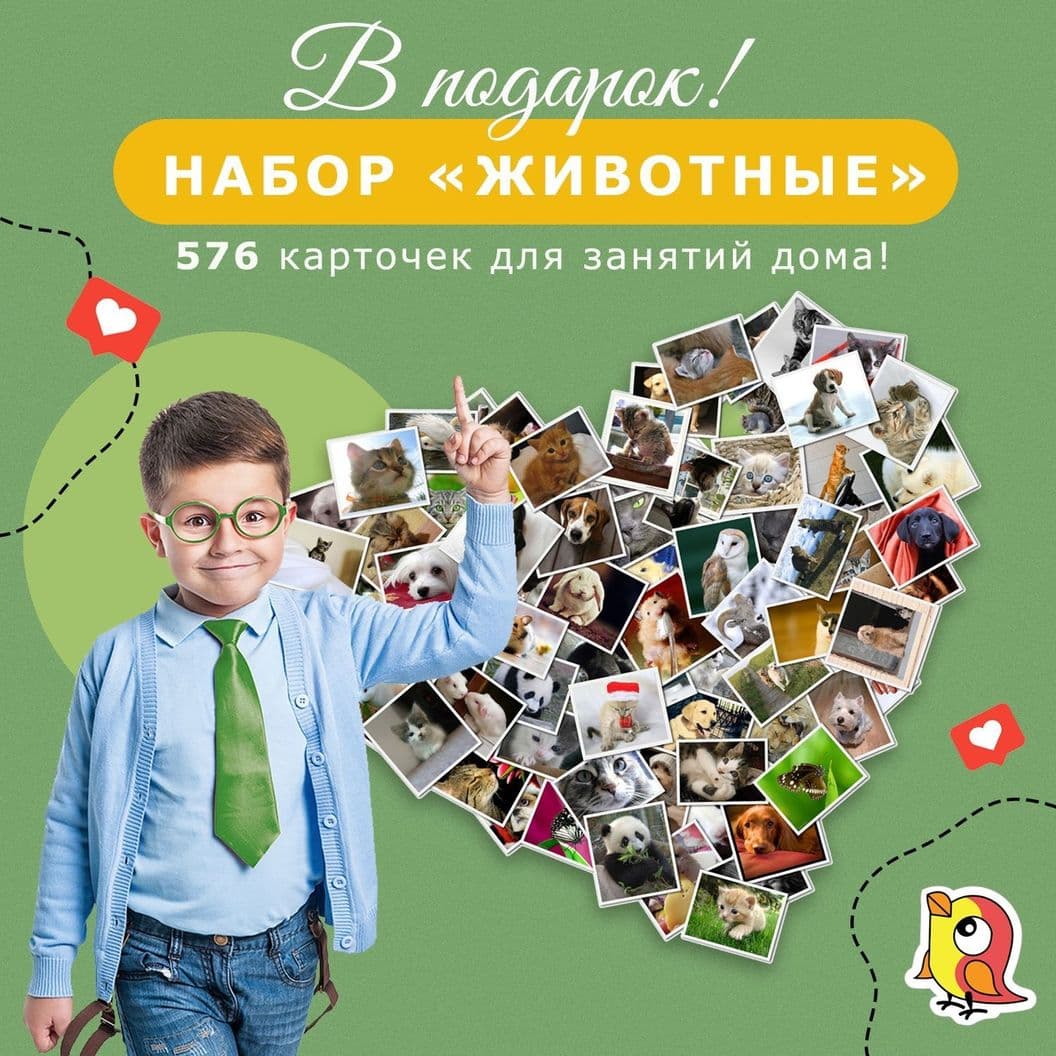 Заполните, пожалуйста, форму заявки и получите подарок - набор развивающих карточек для Ваших детей.