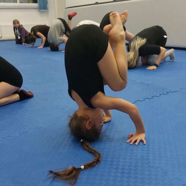 Купить Акробатика / развивающая гимнастика для детей и подростков