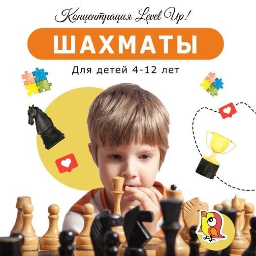 Купить Шахматы - занятия для детей в развивающем центре