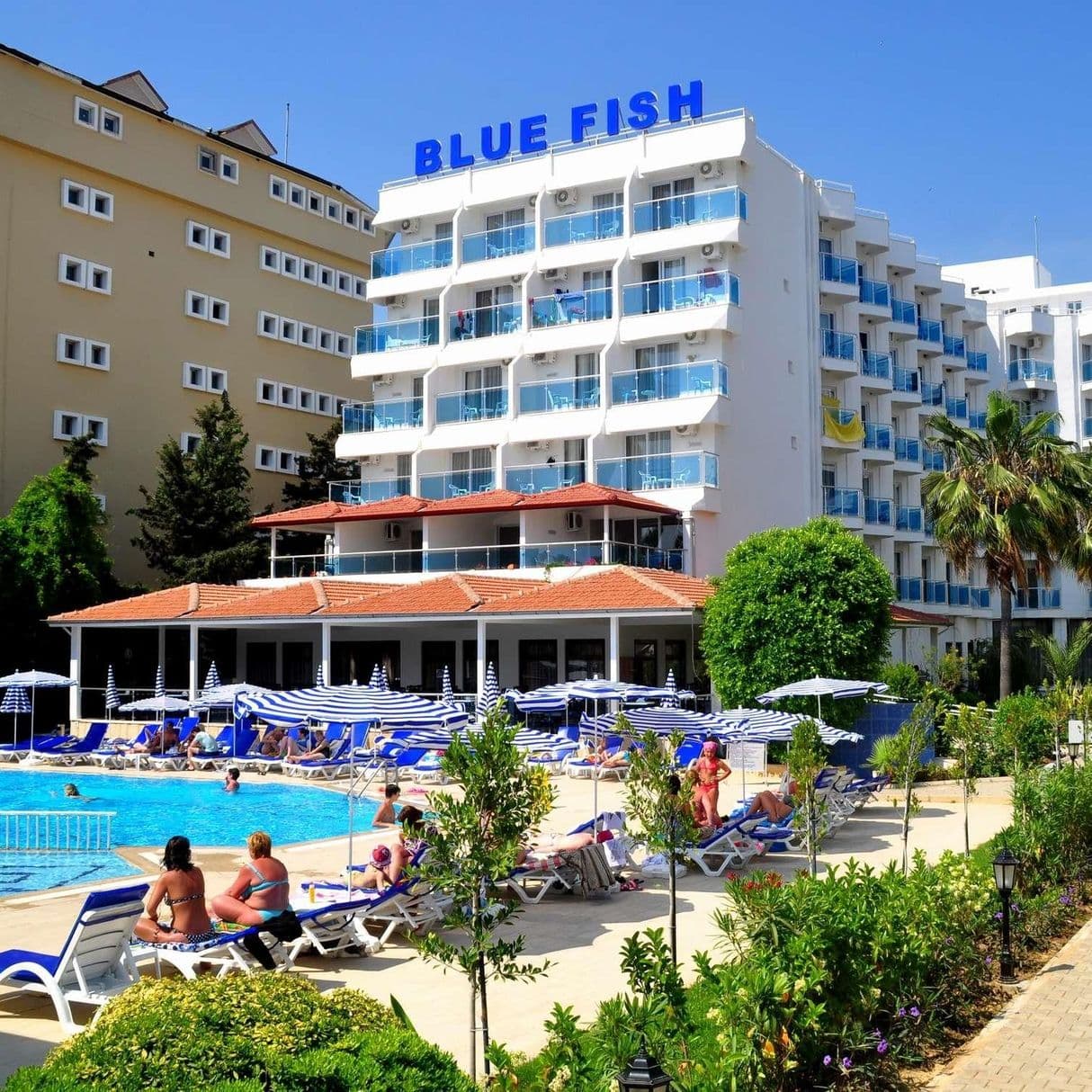 Блю фиш отель турция аланья. Турция,Конаклы,Blue Fish Hotel. Blue Fish Hotel 4 Турция. Отель Блю Фиш Турция Аланья. Blue Fish 4* Конаклы,.