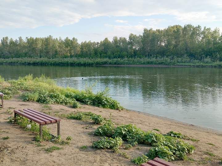 ВКинель.ру Песчаный пляж реки Самарки в 5 минутах ходьбы, озеро сразу за калиткой