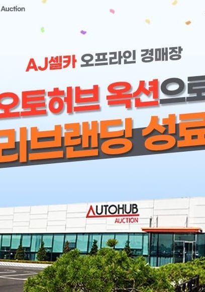 Аукцион "AUTOHUB"