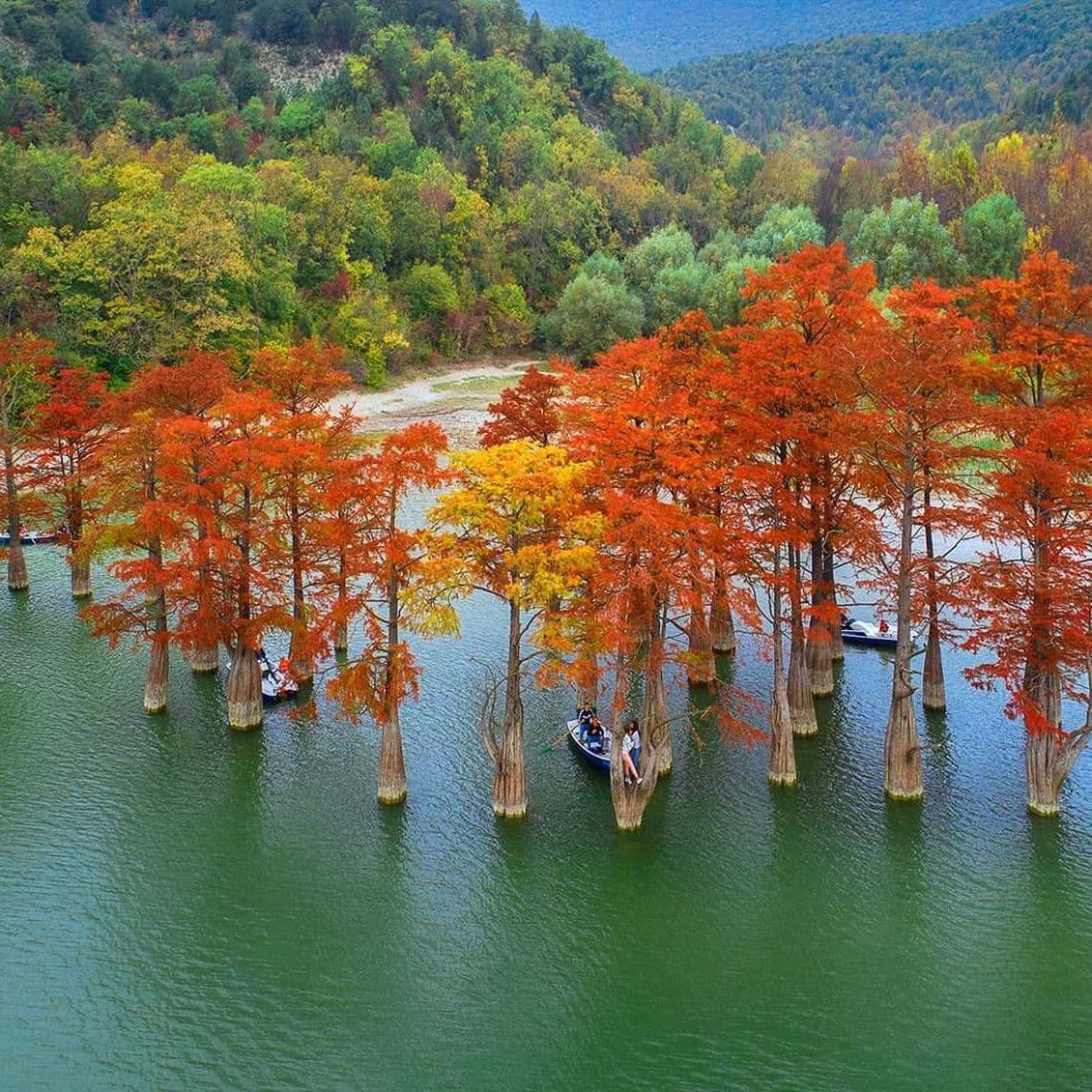 Кипарисовое озеро в Анапе осенью
