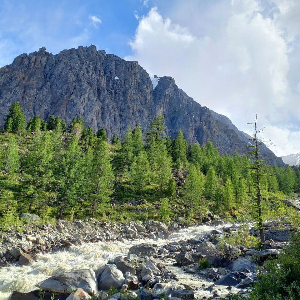 Купить Семь Чудес Алтая
