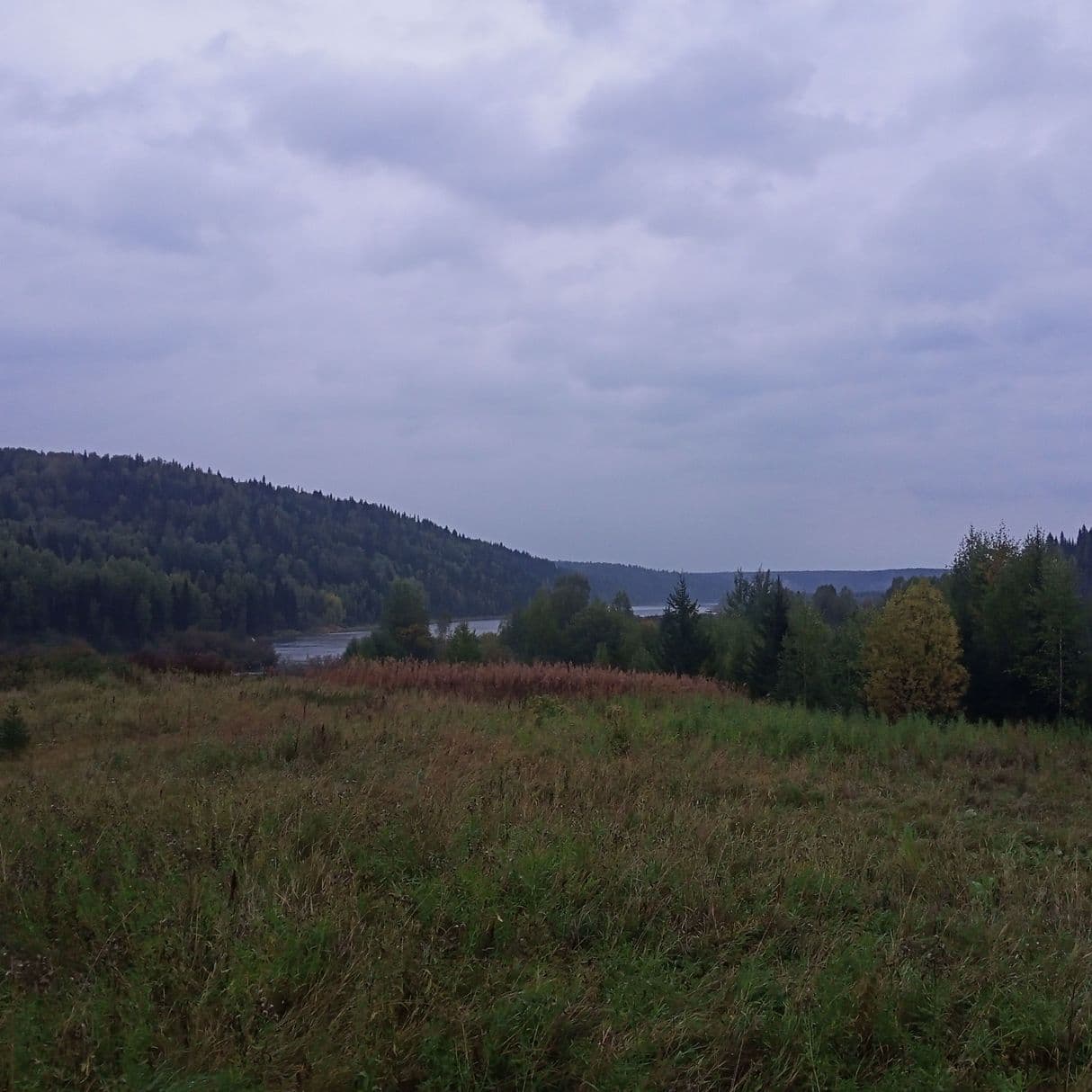 Устье реки Акчим, река Вишера