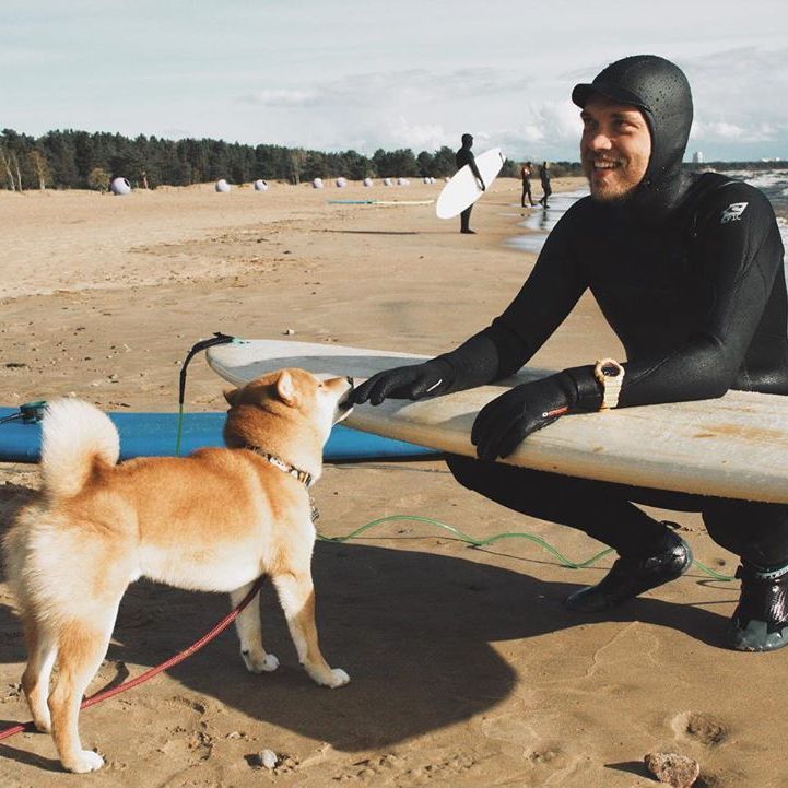 Купить The Performance-style longboard