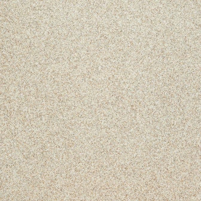 S-206 Wet Sand