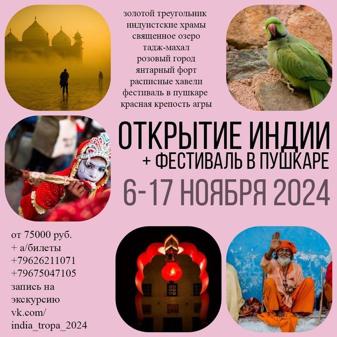 Купить 06-11.11.2024Дружеская поездка в Индию