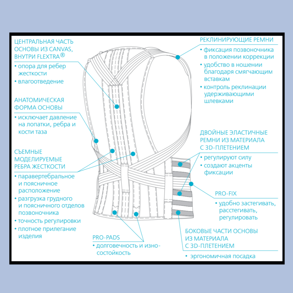 Купить Корсет ORTO Professional грудо-пояснично-крестцовый RWA-5200